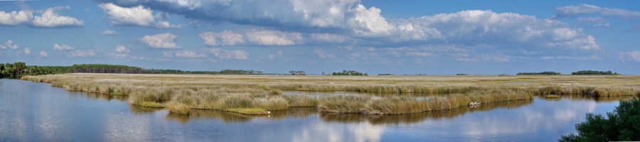View of the tidal marsh from the St. Marks Lighthouse area